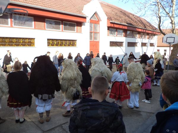 629221642_3332225776926880_6428668958094518200_n - Zalán Szalona